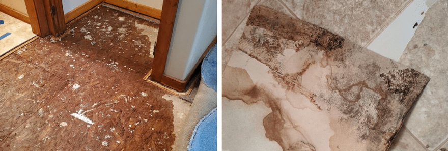 The true impact of water damage