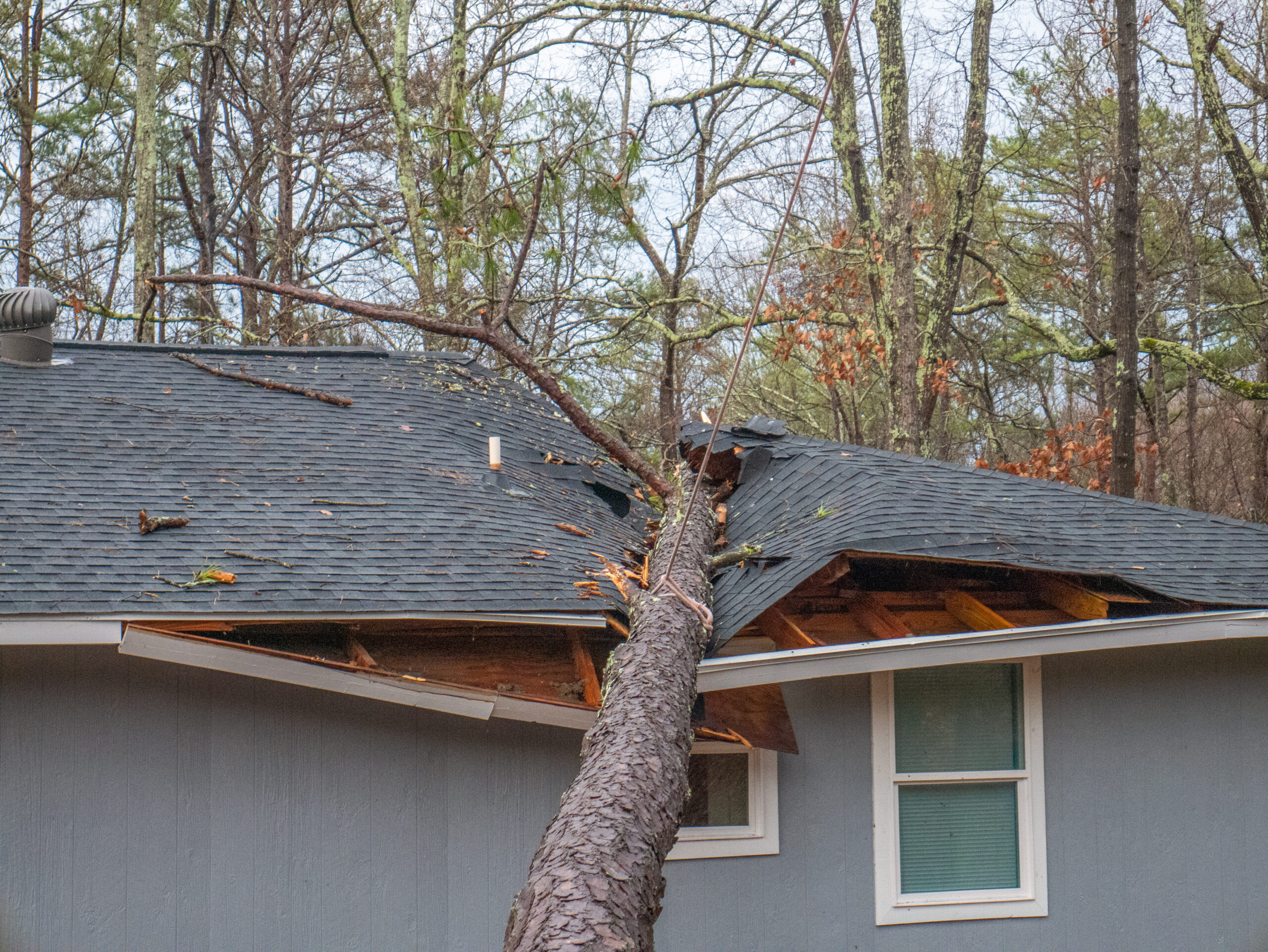 how to prepare for a wind storm